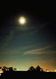 満月の光
