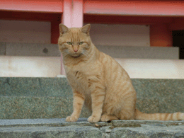 ありがとう、またね