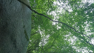 DSC_0583-1.gif