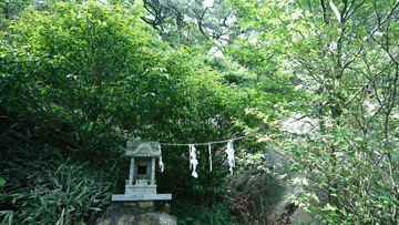 DSC_0618-1.gif