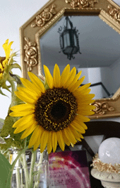 DSC_1279-1a.gif